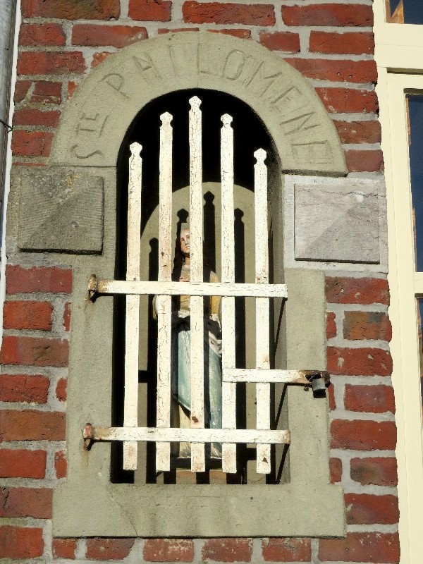 PHOTO 14