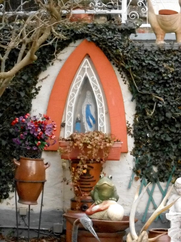 PHOTO 7