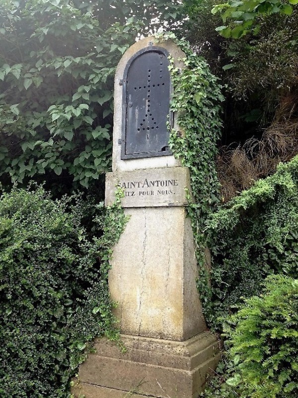 PHOTO 26