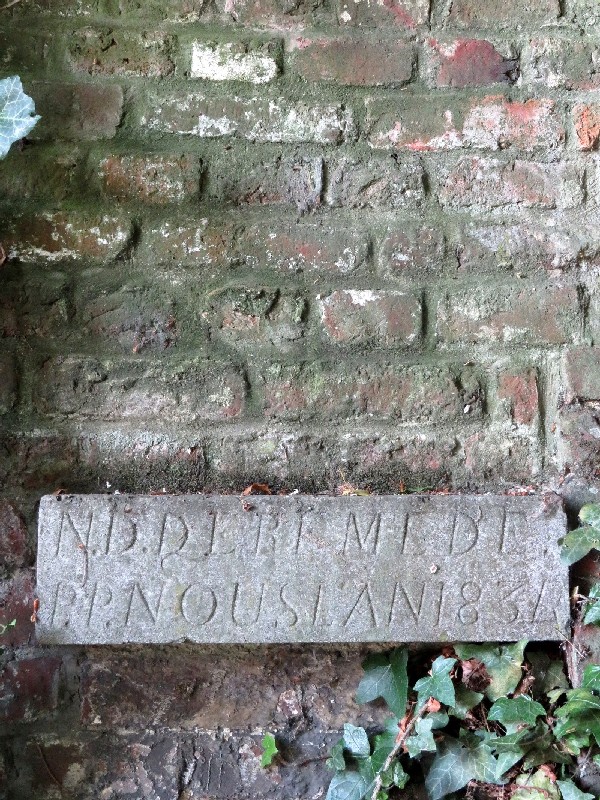 PHOTO 41