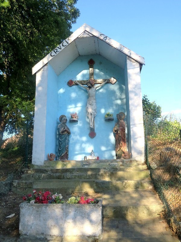 PHOTO 49